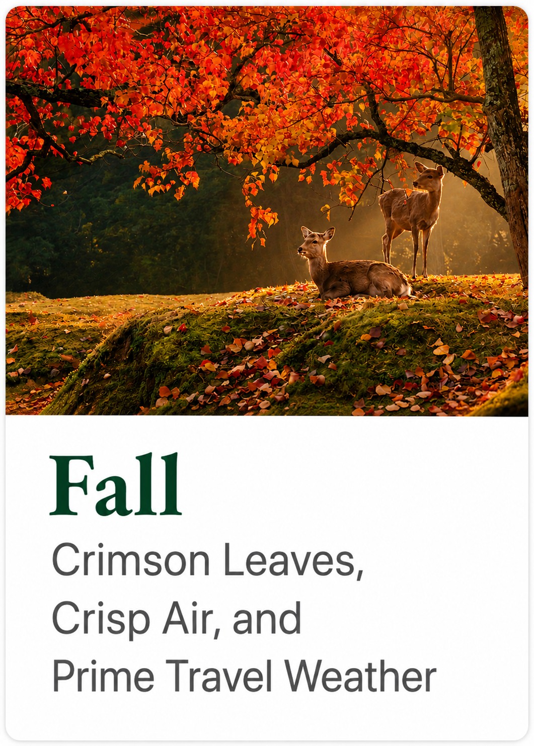 Fall