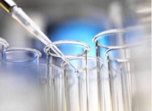 whatsapp image 2025 07 29 at 16.30.36 e19b42cb